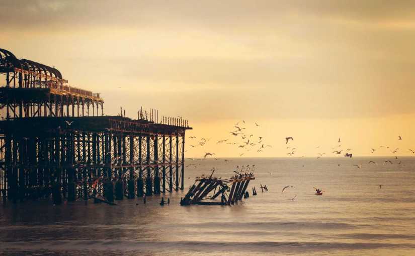 Green for Profit or Green for the&nbsp;Environment?